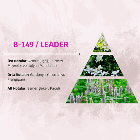 David Walker LEADER B149 100ML Kadın Parfüm