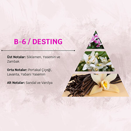 David Walker DESTING B6 100ML Çiçek&Odun Kadın Parfüm