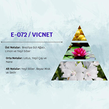 David Walker VINCET E72 100ML Çiçek  Erkek Parfüm