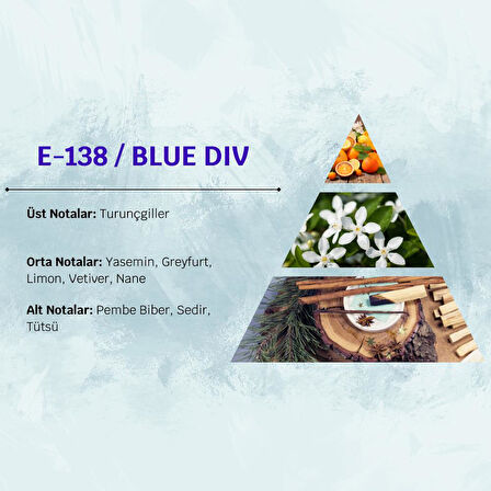 David Walker BLUE DIV E138 100ML Odunsu  Erkek Parfüm