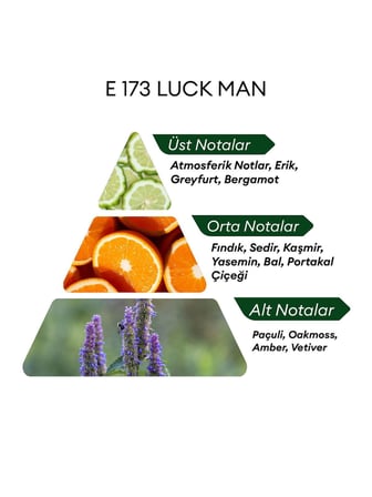 David Walker E173 Luck Man 50 ml Erkek Parfüm | Aromatic