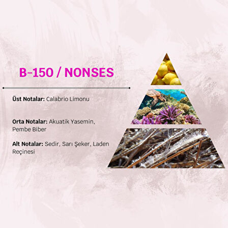 David Walker NONSES B150 100ML Oryantal Kadın Parfüm
