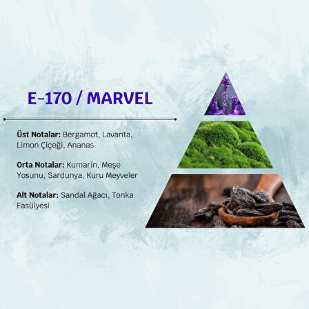 David Walker MARVEL E170 100ML Meyve&Baharat  Erkek Parfüm