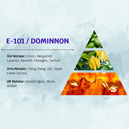 David Walker DOMINNON E101 100ML Ferah  Erkek Parfüm