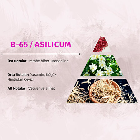 David Walker ASILICUM B65 100ML Meyve&Pudra Kadın Parfüm