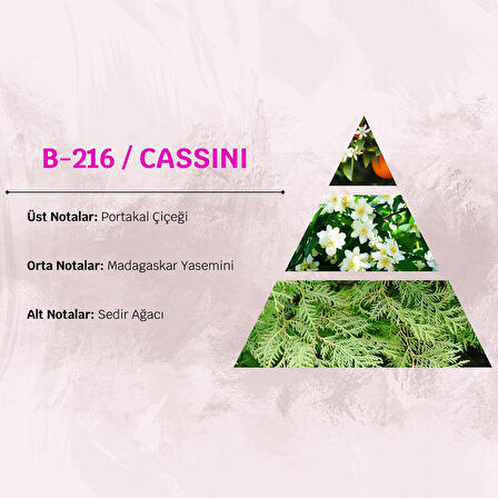 David Walker CASSINI B216 100ML Kadın Parfüm