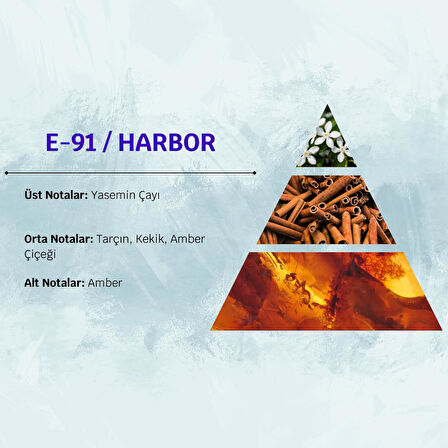 David Walker HARBOR E91 100ML Meyve Erkek Parfüm