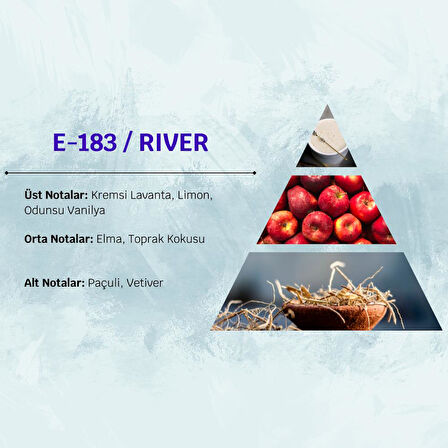 David Walker RIVER E183 50ML Erkek Parfüm