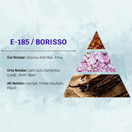 David Walker BORISSO E185 100ML Erkek Parfüm