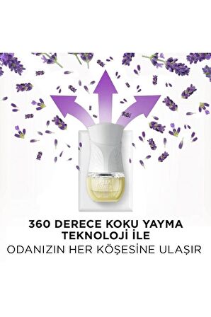 Elektrikli Oda Kokusu Yedek Lavanta X 2