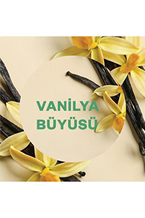 Air Wick Elektrikli Oda Kokusu Yedek Şişe Vanilya Büyüsü - Esansiyel Yağlar Içerir x 6