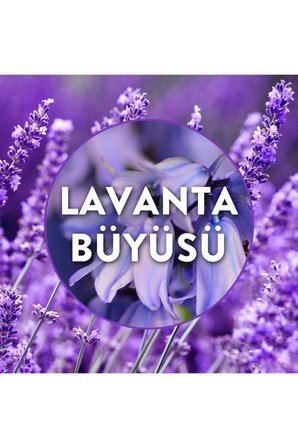Air Wick Elektrikli Oda Kokusu Yedek Şişe Lavanta Bahçesi 2x19 ML