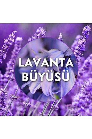 Air Wick Elektrikli Oda Kokusu Yedek Şişe Lavanta Bahçesi 3x19 ML