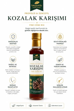 Zencefilli Propolisli Kozalak Şurubu Beyyurdu Bağışıklık Destekleyici Karışım