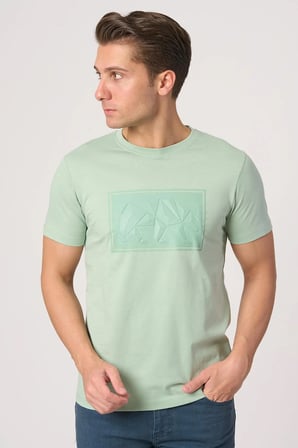 WHİTE STONE  2025-Y  3115  BİSİKLET YAKA TSHIRT    ÇAĞLA