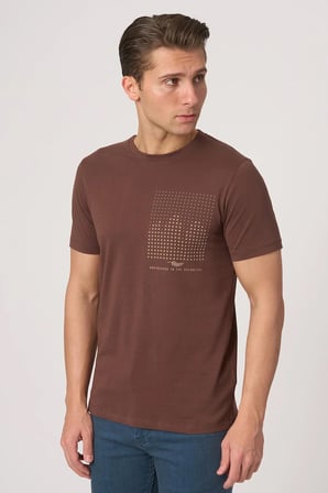 WHİTE STONE  2025-Y  3076  BİSİKLET YAKA TSHIRT    KAHVE