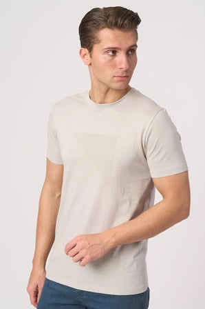 WHİTE STONE  2025-Y  3117  BİSİKLET YAKA TSHIRT    GRİ