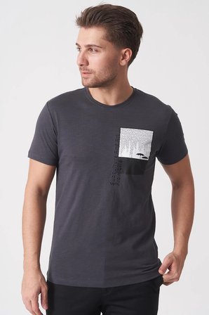 White Stone Brasília 3148 Slim Fit Pamuklu Likralı Bisiklet Yaka T-Shirt  Füme