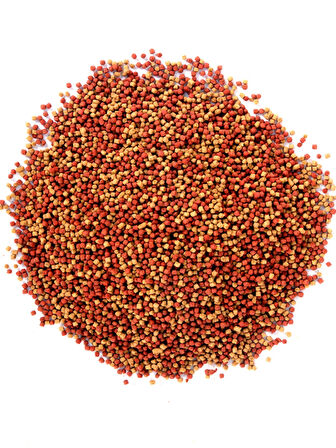 Goldy Mix Granules 1000ml Japon Balığı Yemi, Güçlü Bağışıklık, Sağlıklı Gelişim, Parlak Renkler