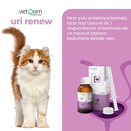 vetQom Kedi Uri Renew – Üriner Sistem Sağlığı – 60 ml.