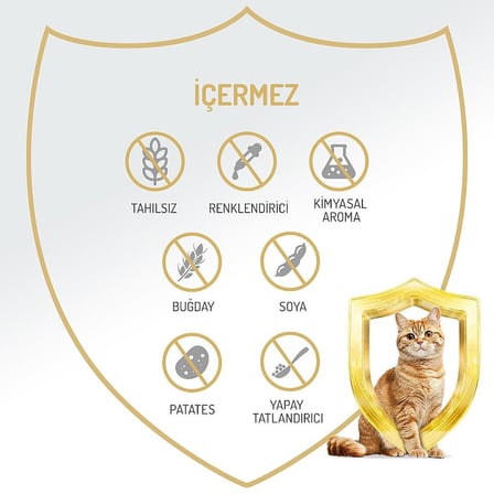 Felicia Tahılsız Yetişkin Somonlu Kedi Konservesi 400 Gr