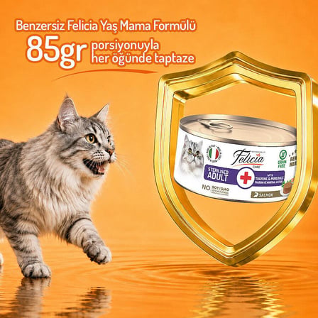 Felicia Somonlu Ezme Kısırlaştırılmış Yetişkin Kedi Konservesi 85 GR