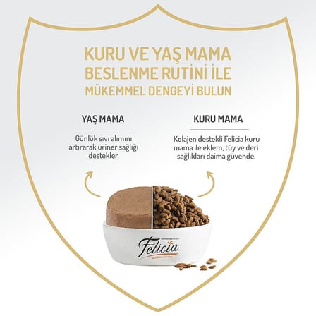 Felicia Hindili Ezme Kısırlaştırılmış Yetişkin Kedi Konservesi 85 GR
