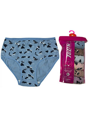 Kadın 6 lı Pamuklu Likralı Havlu Ağ Detaylı Yüksek Bel Külot Seti 2186