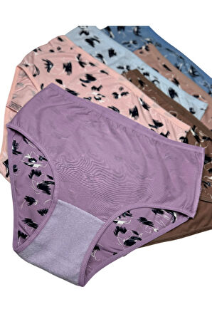 Kadın 6 lı Pamuklu Likralı Havlu Ağ Detaylı Yüksek Bel Külot Seti 2186