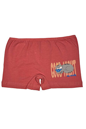 Kız Çocuk 3 lü Paket Pamuklu Likralı Baskılı Şort 443