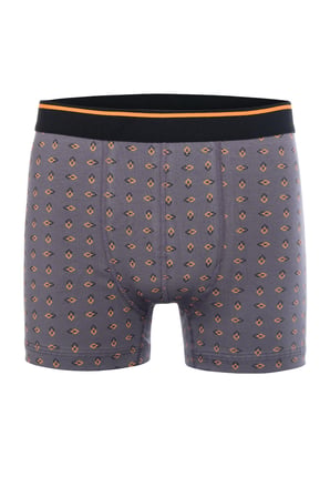 Erkek 6 lı Süprem Pamuklu Likralı Renkli Boxer Seti 4147