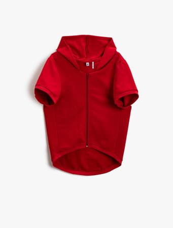 Love Dog Kapüşonlu Sweatshirt