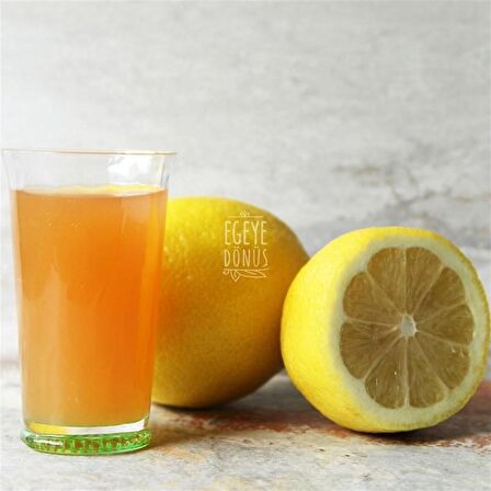 Katkısız Doğal Fermente Limon Sirkesi Cam Şişe - 500 Ml. (Geleneksel Yöntemle Mayalanmıştır.)