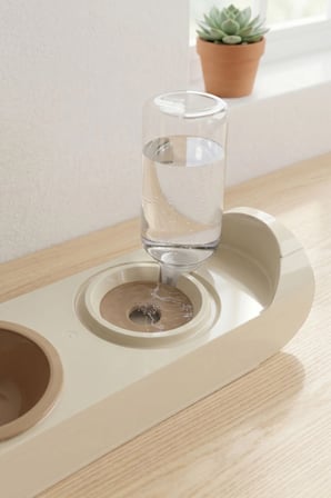 Kedi Köpek Mama ve Su Kabı | Otomatik Suluk 500 ml | Standlı Mama Kabı BPA | Free Set | Bej