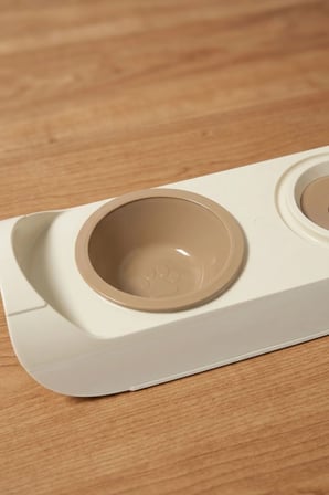 Kedi Köpek Mama ve Su Kabı | Otomatik Suluk 500 ml | Standlı Mama Kabı BPA | Free Set | Bej