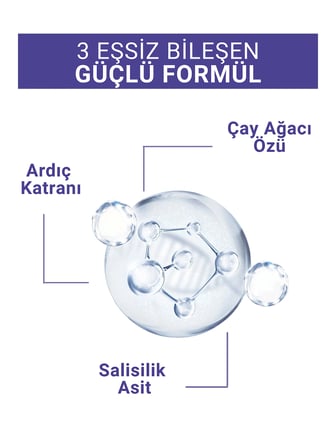 RADIX  Saç Yağlanma ve Kepek Karşıtı Ardıç Katranlı Ve Çay Ağacı Özlü Şampuan 400ML
