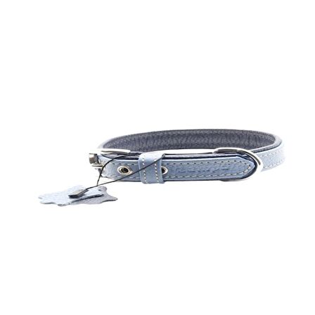 Yumuşak Dokulu Gerçek Deri Flatiron Köpek Boyun Tasması 2x42cm, Turkuaz Lacivert