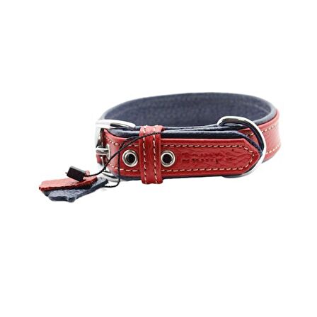 Zampa Yumuşak Dokulu Gerçek Deri Flatiron Köpek Boyun Tasması 3x54 cm cm, K