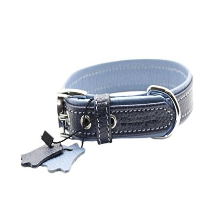 Zampa Yumuşak Dokulu Gerçek Deri Flatiron Köpek Boyun Tasması 4x72 cm cm, L