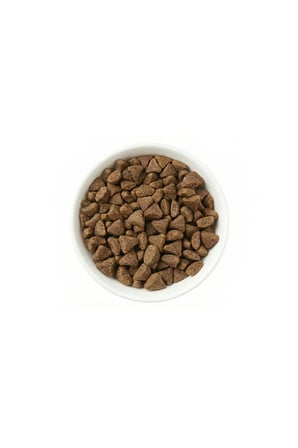 PLUS Yavru Köpekler için Kuzu Etli & Pirinçli Premium Kuru Mama 15KG