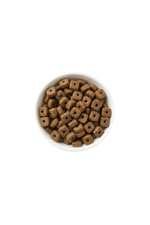 Zampa Plus Premium Somonlu Kısırlaştırılmış Kedi Maması 1,5kg