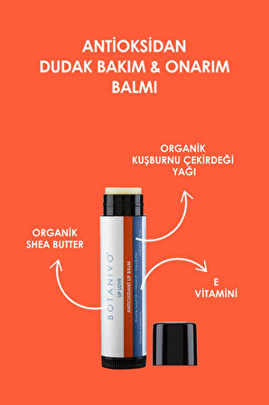 Antioksidan Dudak Bakım & Onarım Balmı | Nemlendirici, Besleyici, Koruyucu | Organik | 5 ml Stick