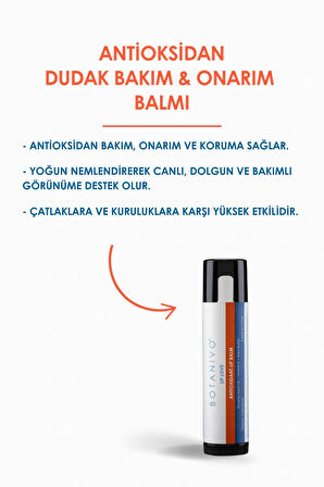 Antioksidan Dudak Bakım & Onarım Balmı | Nemlendirici, Besleyici, Koruyucu | Organik | 5 ml Stick