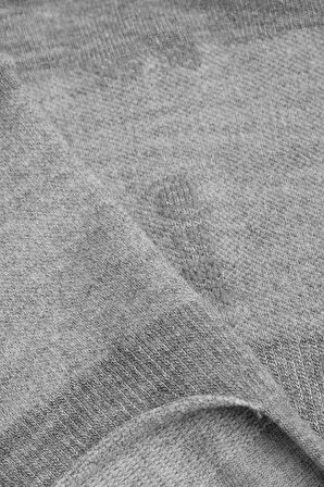 Mısırlı Kadın Modal Tekli Gri Yazlık Babet Çorap