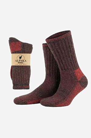 Mısırlı Unisex Alpaka Yünü Havlu Kışlık Kahve/Kırmızı Soket Çorap - M 6006-KK