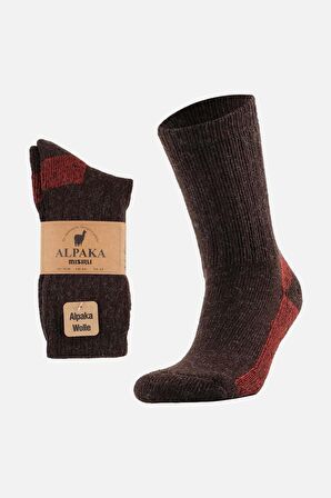 Mısırlı Unisex Alpaka Yünü Havlu Kışlık Kahve/Kırmızı Soket Çorap - M 6005-KK