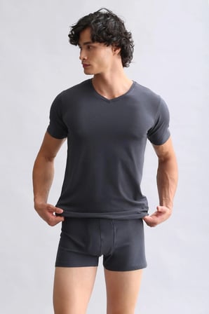 Mısırlı Modal By Tencel Hercules Slim Fit V Yaka Fanila / T-Shirt Antrasit