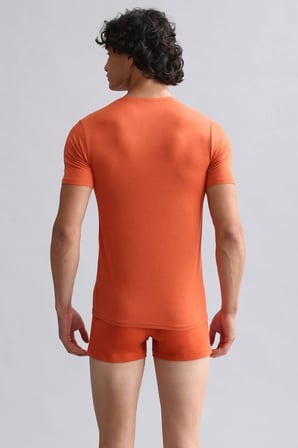 Mısırlı Modal By Tencel Hercules Slim Fit V Yaka Fanila / T-Shirt Pas Kırmızısı