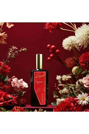 Nova Parfum Mist -100 ml (EGY0067)