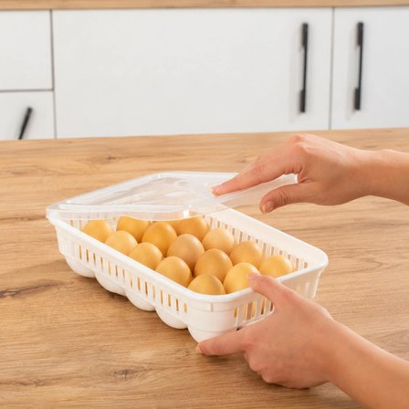 Porsima VC-722 Peggy 15 Bölmeli Kapaklı Yumurta Kutusu Yumurtalık Buzdolabı Organizeri Saklama Kabı